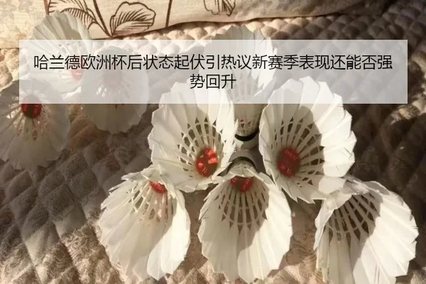 哈兰德欧洲杯后状态起伏引热议新赛季表现还能否强势回升